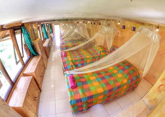 Penida Bird Sanctuary Camp Hostal Klungkung