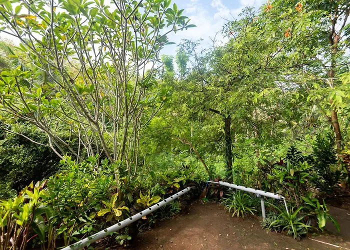 Hostal Penida Bird Sanctuary Camp Klungkung