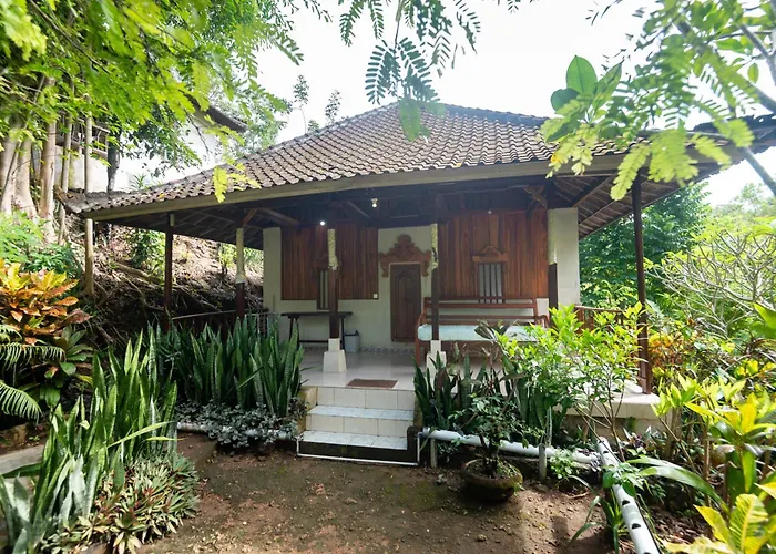 Penida Bird Sanctuary Camp Hostal Klungkung