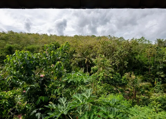 Penida Bird Sanctuary Camp