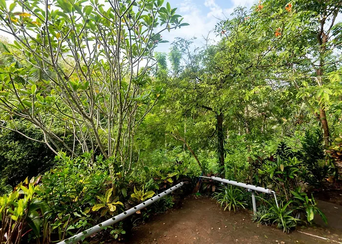 Penida Bird Sanctuary Camp Hostal Klungkung