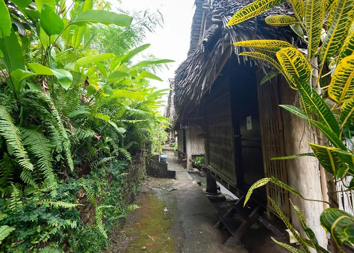 Hostal Penida Bird Sanctuary Camp